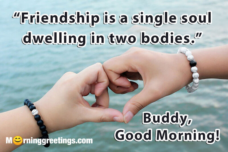 Good Morning Friend Quote