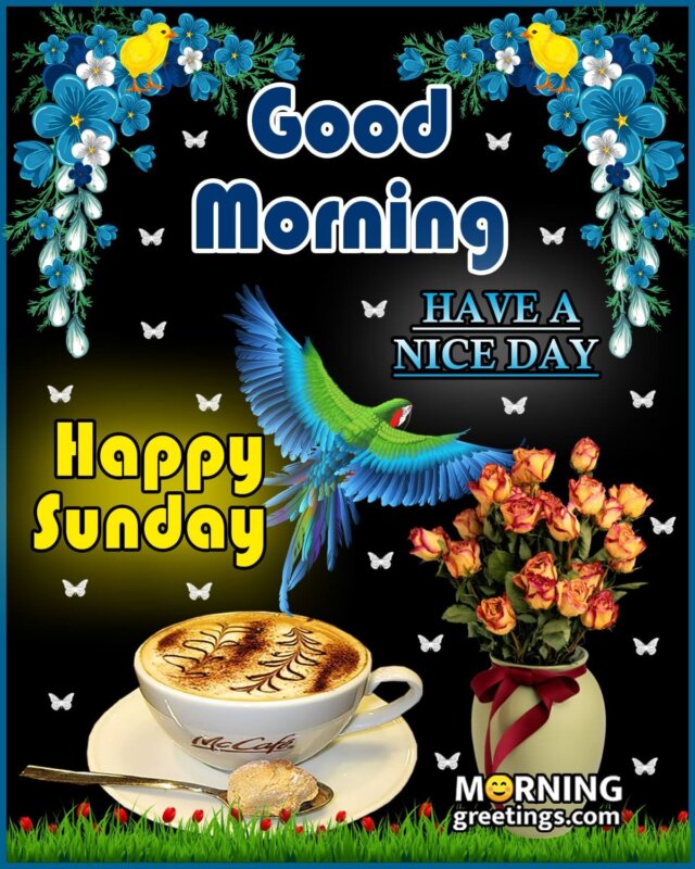 Good Morning Happy Sunday Image