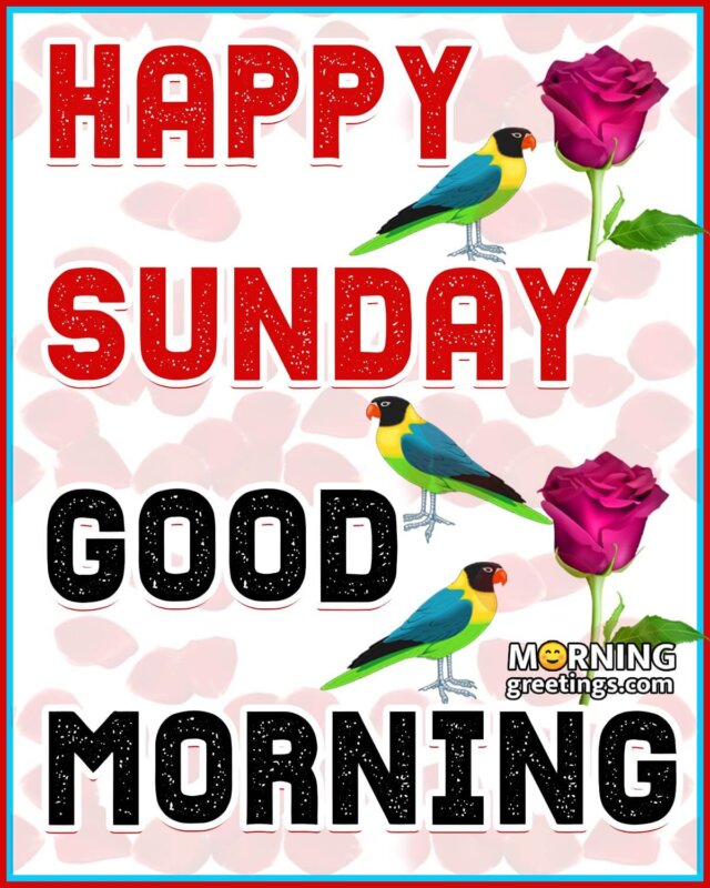 good morning friends have a wonderful sunday