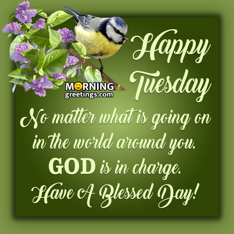 Happy Tuesday Have A Blessed Day