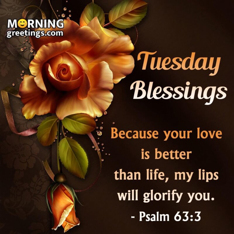 Amazing Tuesday Blessings