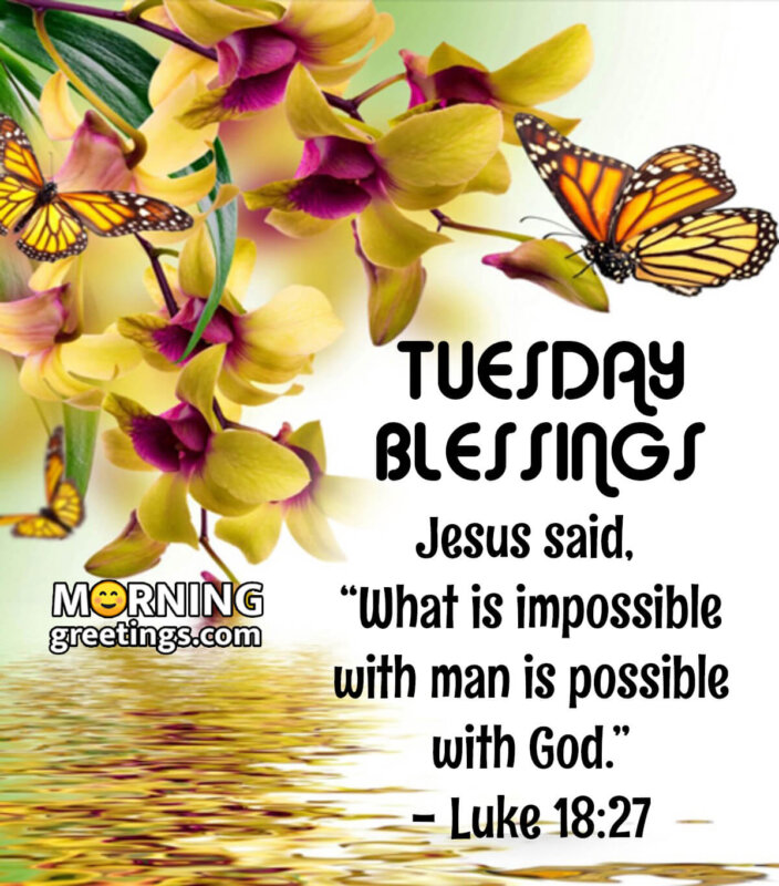 Amazing Tuesday Morning Blessings