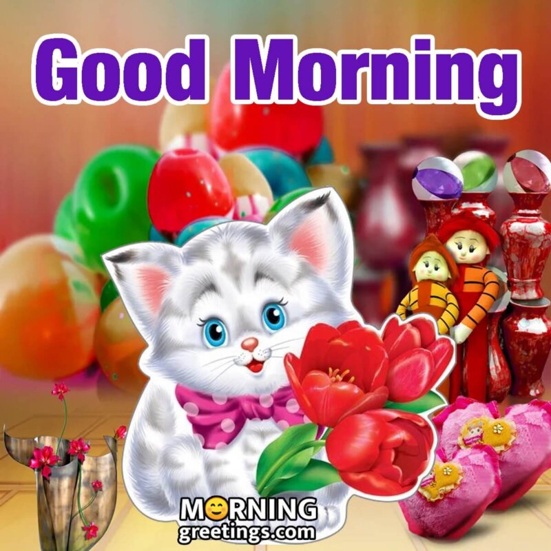 Cute Cat Morning Greeting