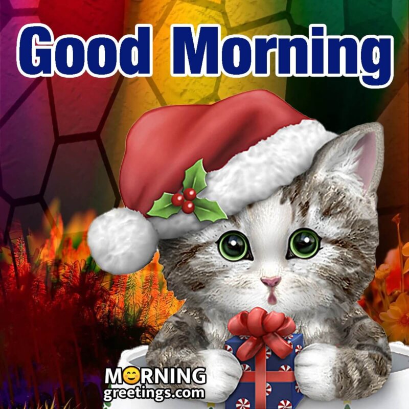 Good Morning Cat Image