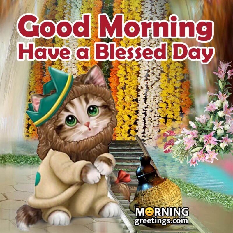 30 Cute Cat Morning Greetings - Morning Greetings – Morning Quotes And ...