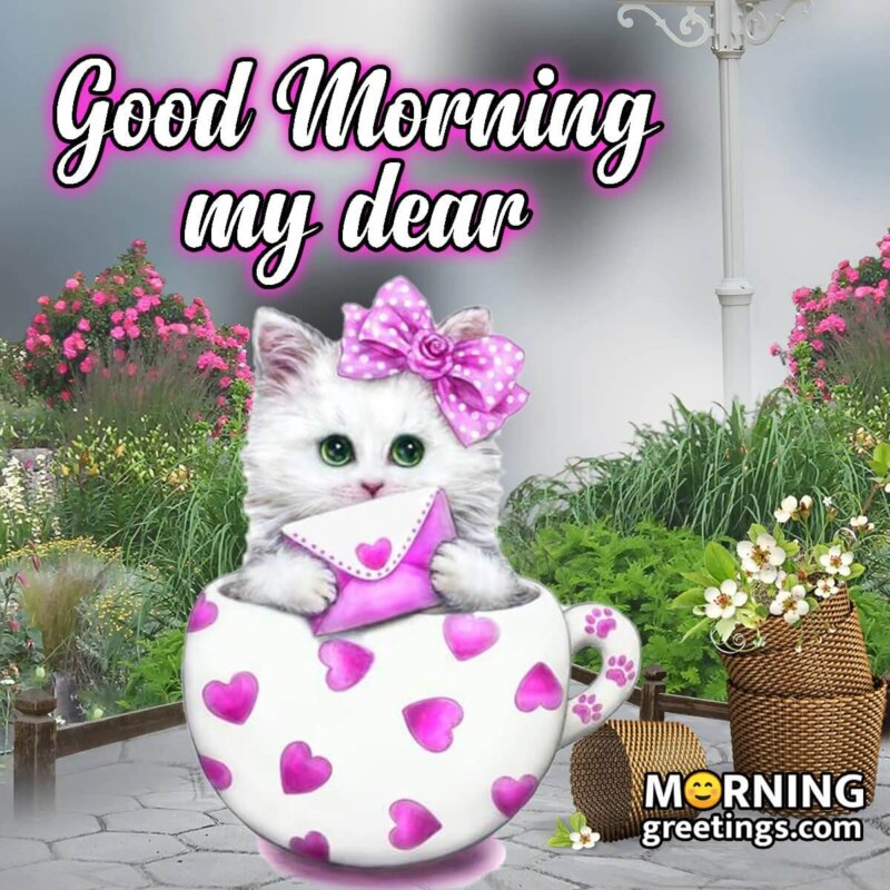 Good Morning My Dear