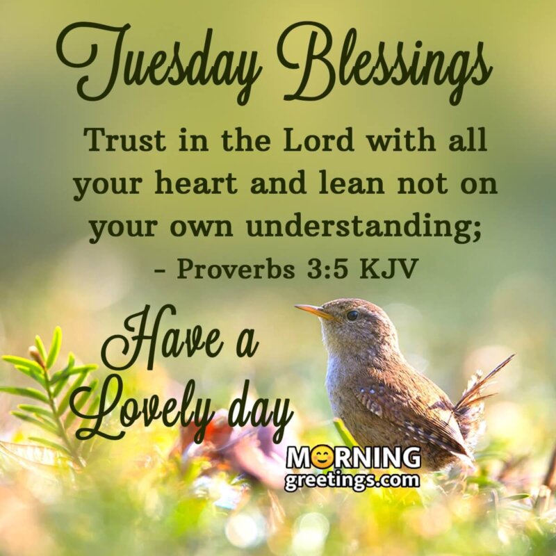 Tuesday Morning Blessings Have A Lovely Day