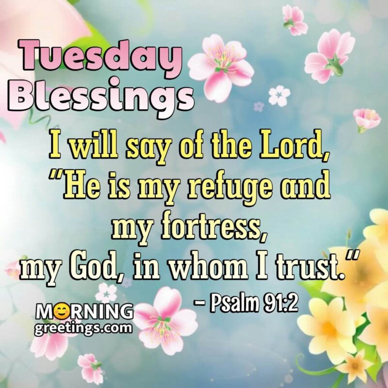 Tuesday Morning Blessings