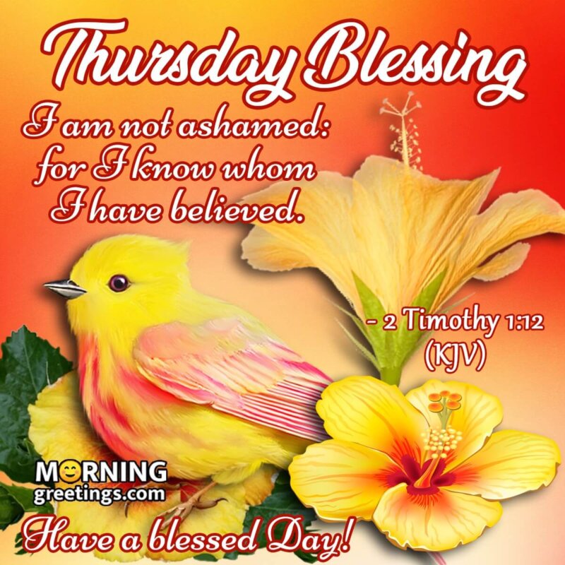 Thursday Blessings Have A Blessed Day!