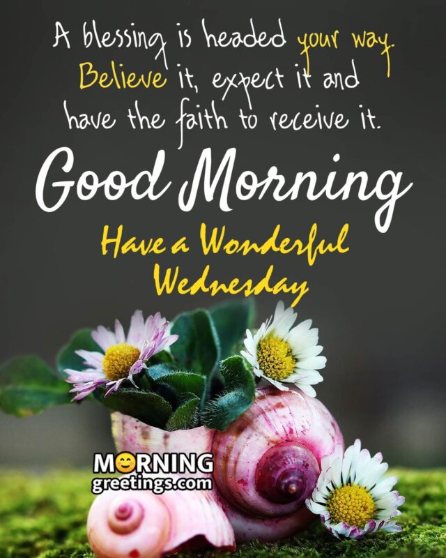 Wonderful Wednesday Quotes Wishes Pics
