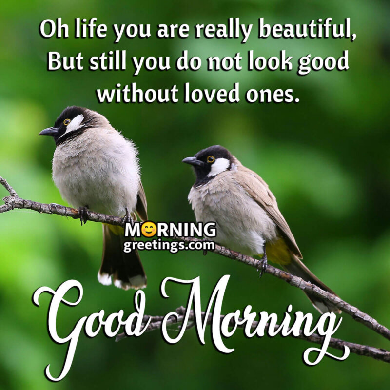 30 Beautiful Good Morning Life Quotes Images - Morning Greetings ...