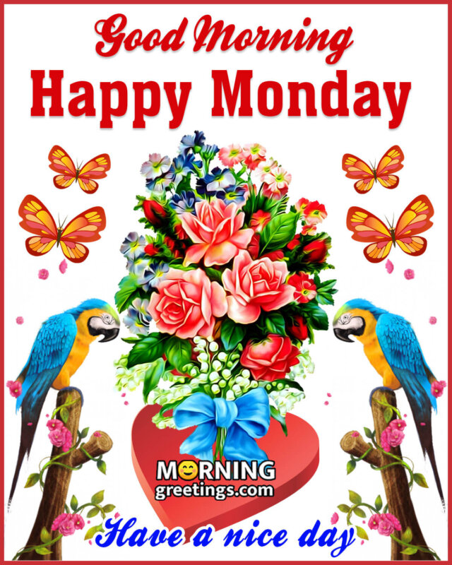 Good Morning Happy Monday Have A Nice Day