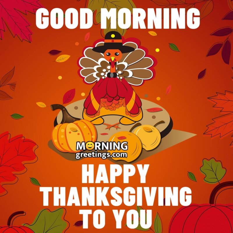 Good Morning Happy Thanksgiving To You