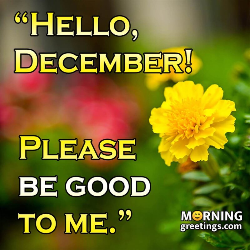 Hello, December! Please Be Good To Me