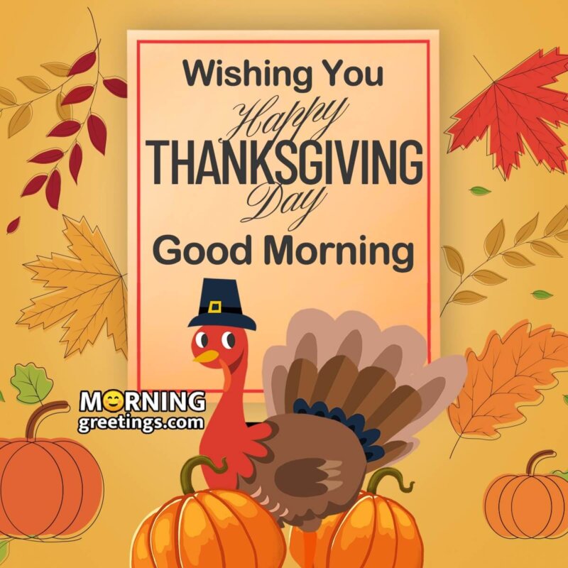 Wishing You Happy Thanksgiving Good Morning