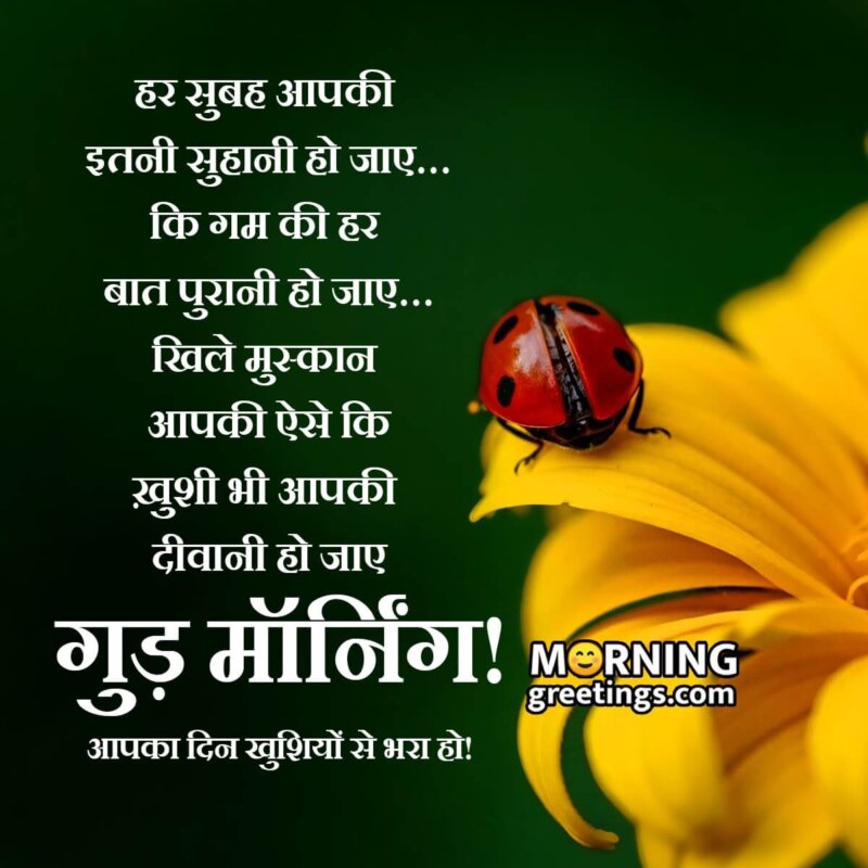 Good Morning Shayari Wish