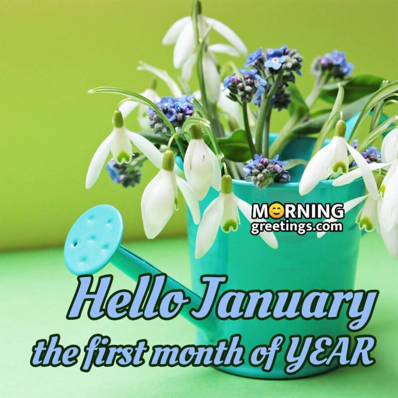 Hello January Image