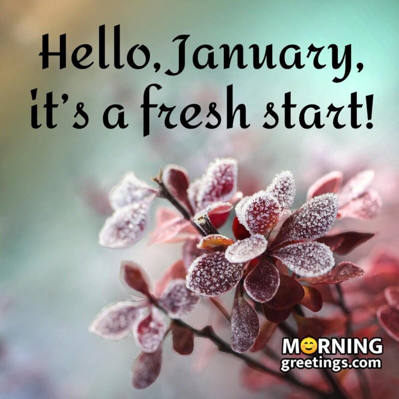 Hello January Picture