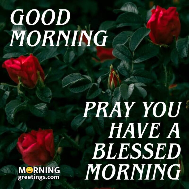 Pray You Have A Blessed Morning