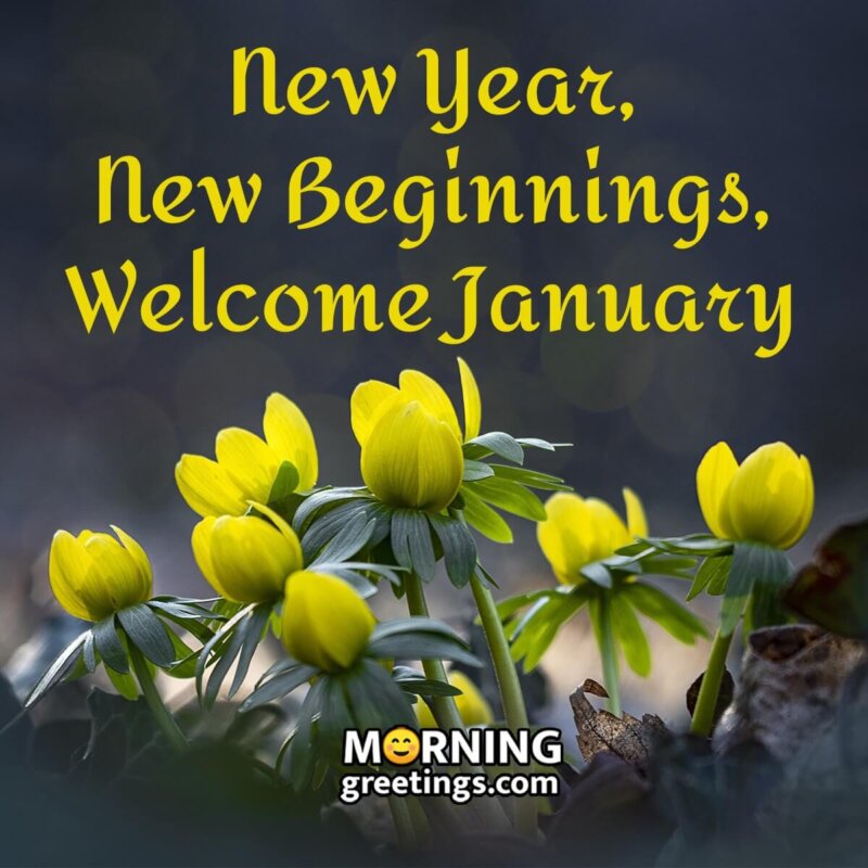 Welcome January Pic