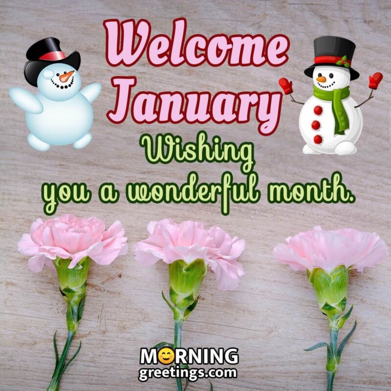 Welcome January Wish
