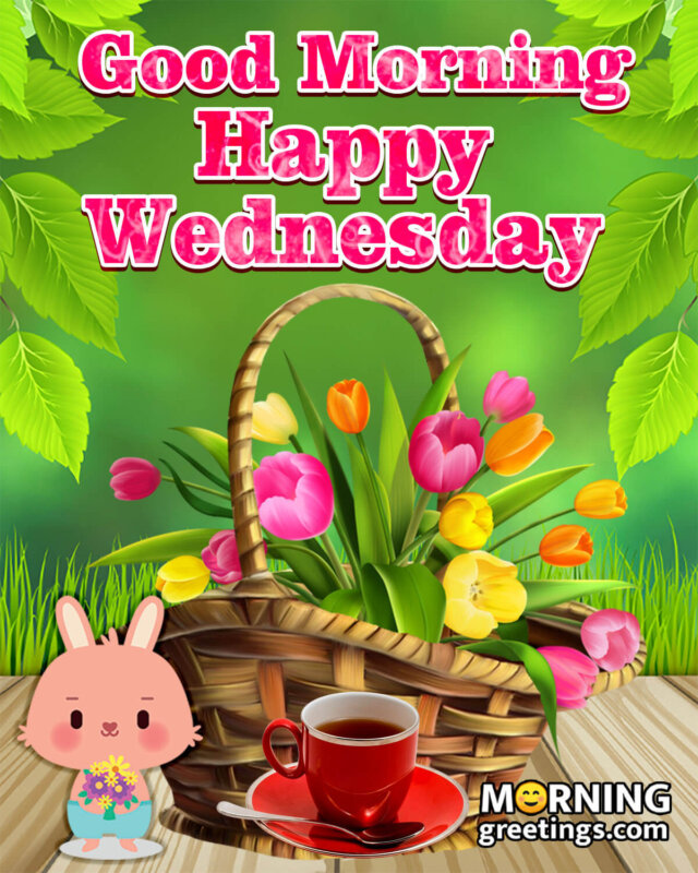 Good Morning Happy Wednesday