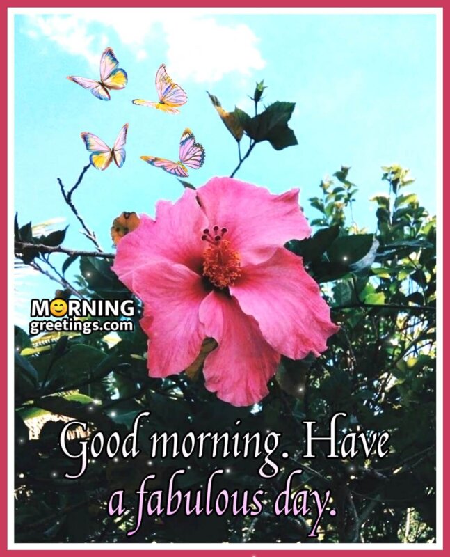 Good Morning Have A Fabulous Day