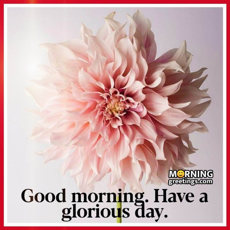 Good Morning Have A Glorious Day