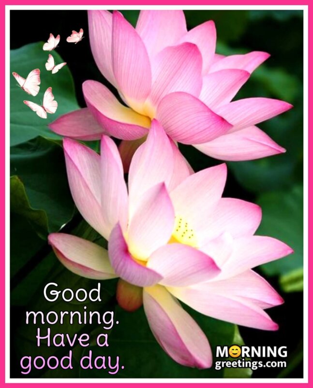 65 Good Morning Images With Flowers - Morning Greetings – Morning ...