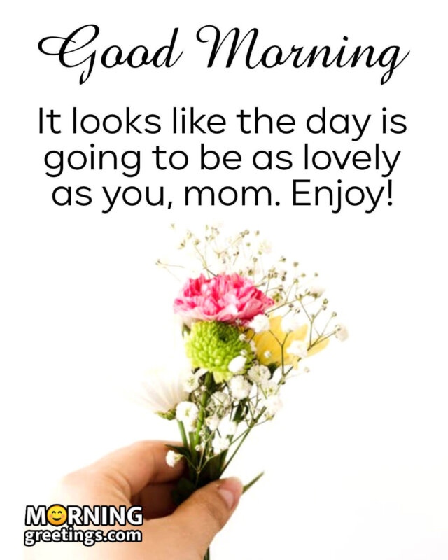 Good Morning Lovely Mom