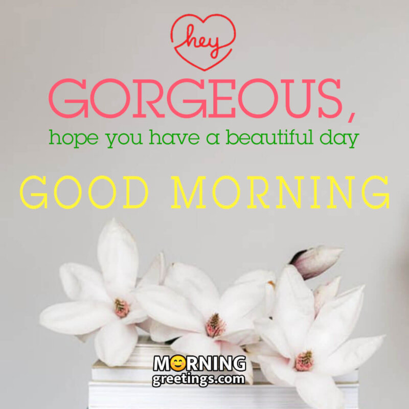 Good Morning Quote For Gorgeous