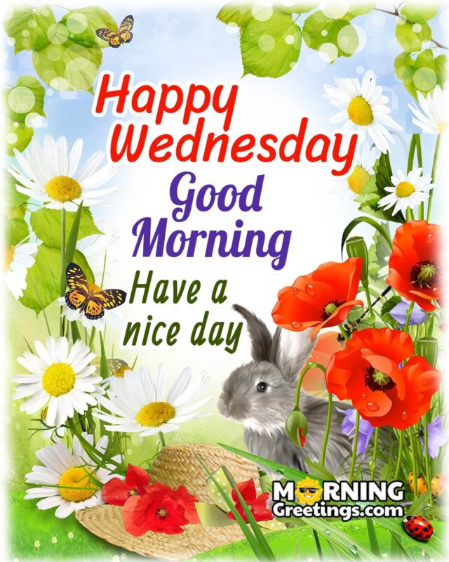 50 Good Morning Happy Wednesday Images - Morning Greetings ...