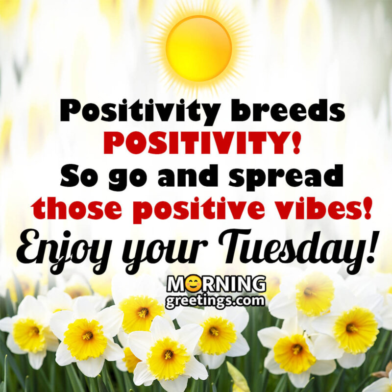 Enjoy Your Tuesday!