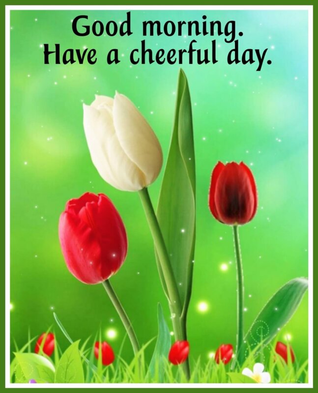 Good Morning Cheerful Day