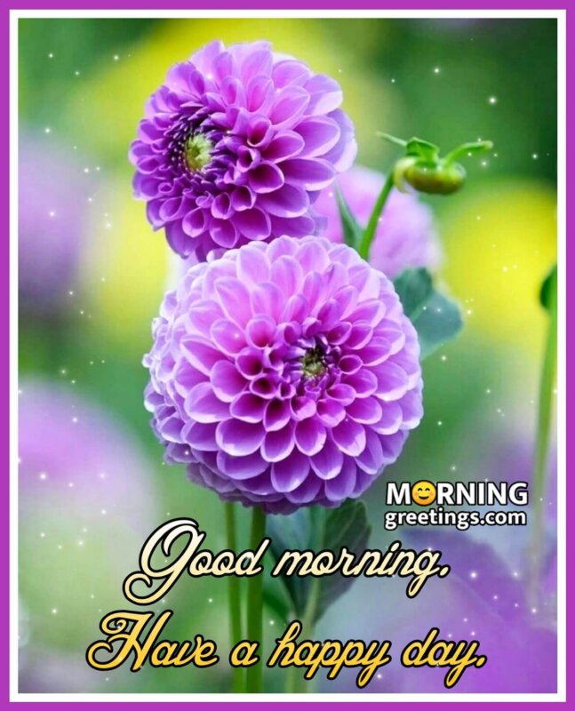 65 Good Morning Images With Flowers - Morning Greetings – Morning ...