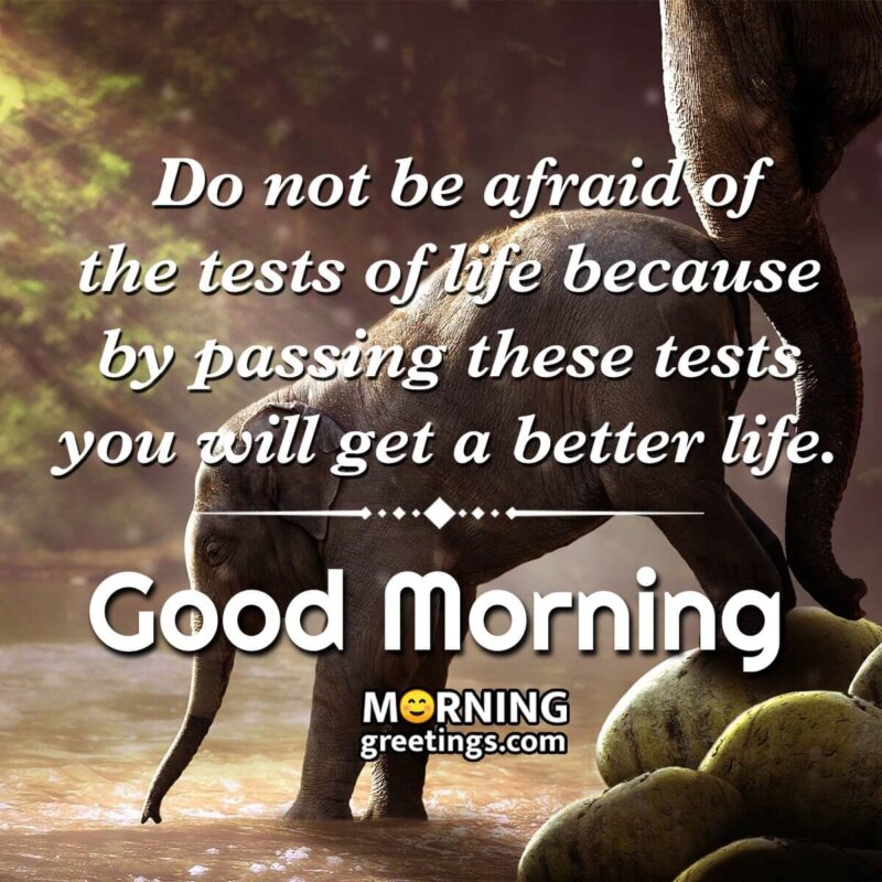 Good Morning Inspiration For Better Life