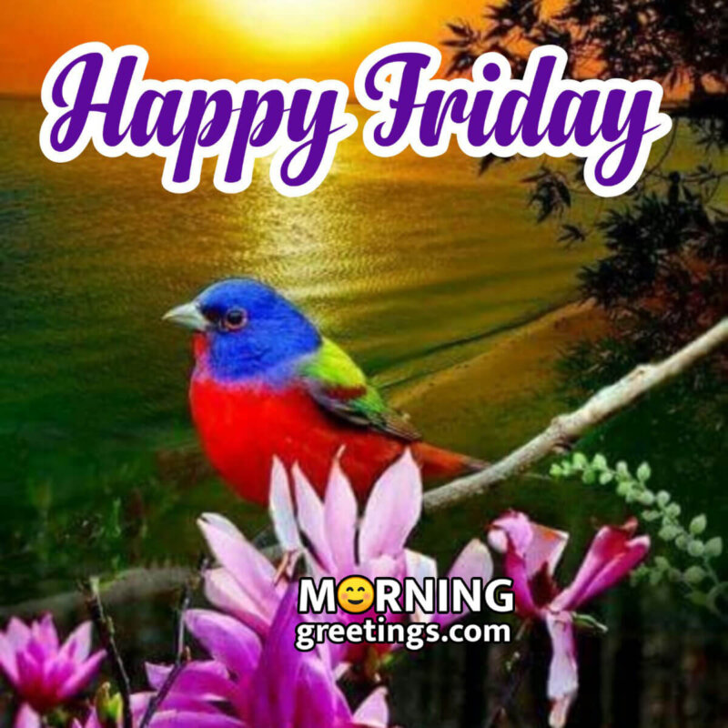 Happy Friday Sweet Bird Card