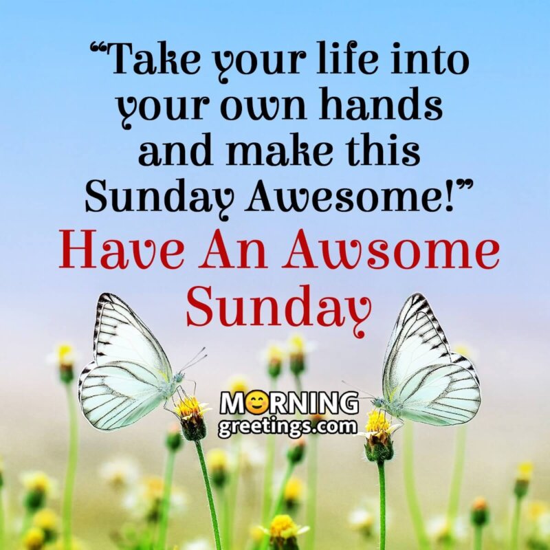 Have An Awsome Sunday