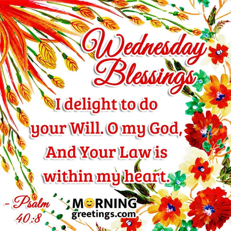 Wednesday Blessings Pic