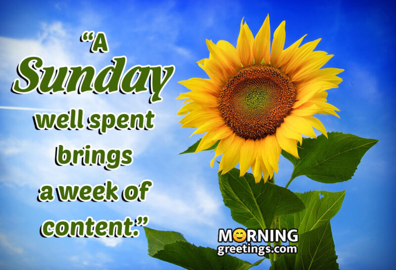 15 Funny Interesting Sunday Quotes - Morning Greetings – Morning ...