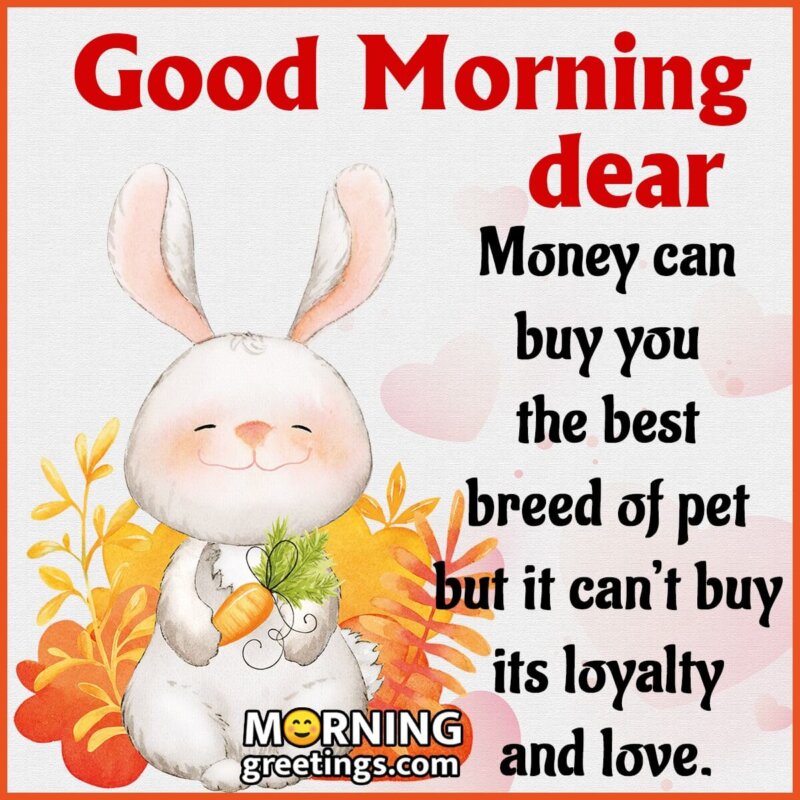 Good Morning Dear Pet Message