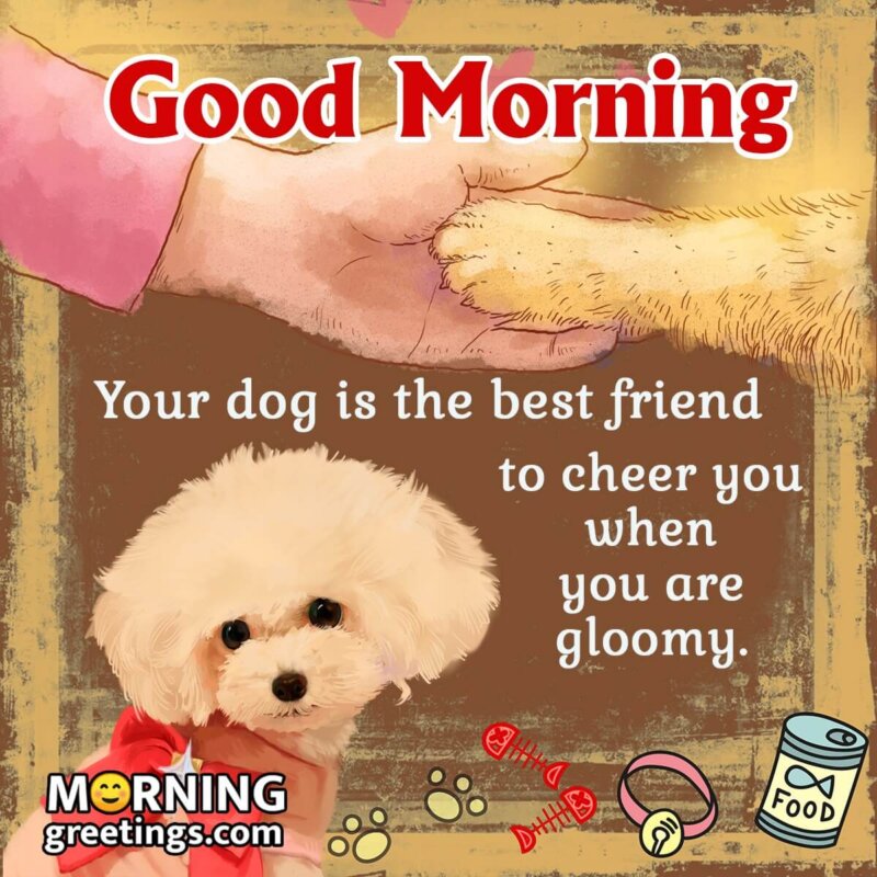 20 Best Good Morning Pet Quotes Images - Morning Greetings ...