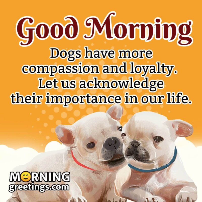 Good Morning Dogs Message