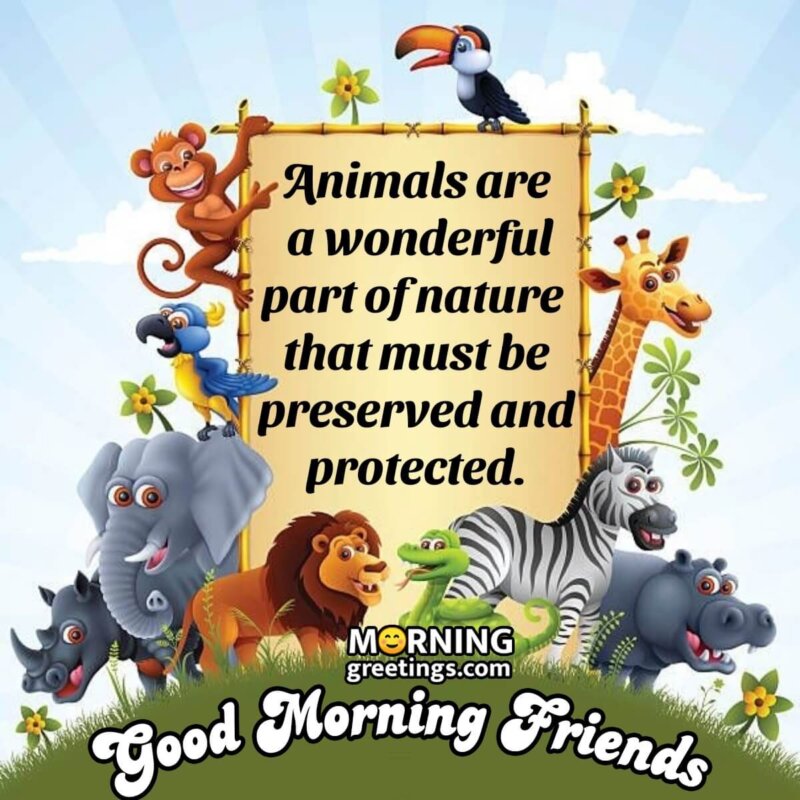 Good Morning Friends Animal Quote