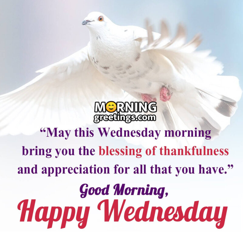 30 Happy Wednesday Inspirational Blessings Quotes - Morning ...