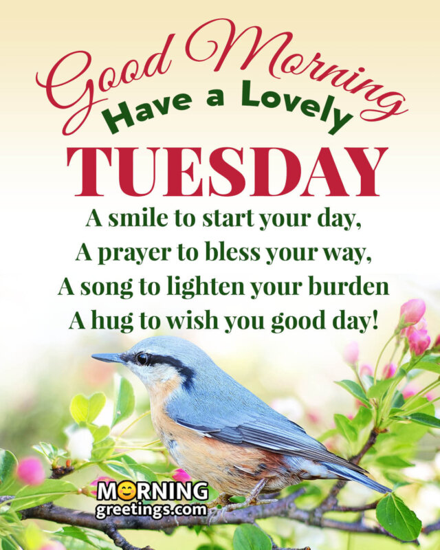 50 Best Tuesday Morning Quotes Wishes Pics Morning Greetings Morning Quotes And Wishes Images