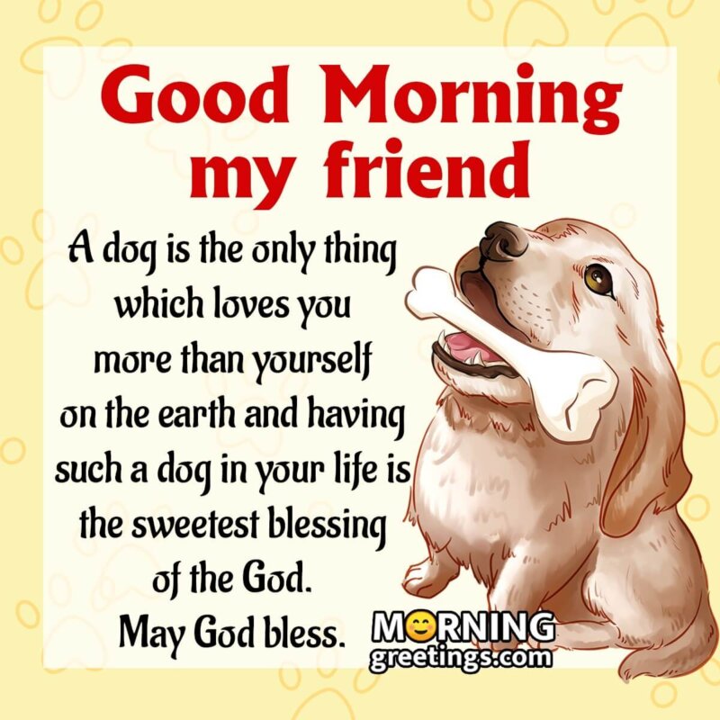 Good Morning Pet Message To Friend