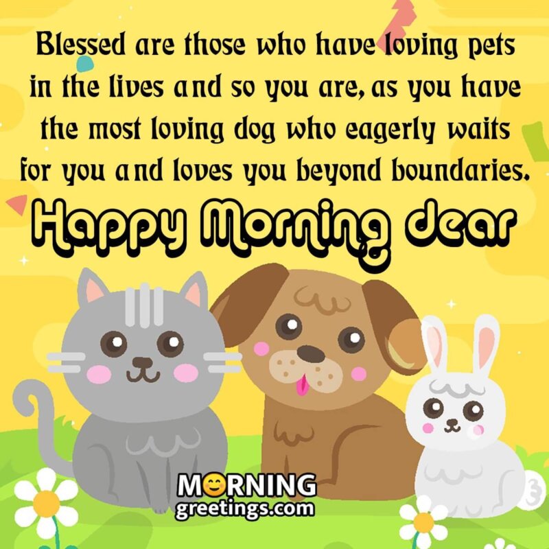 Happy Morning Pet Message