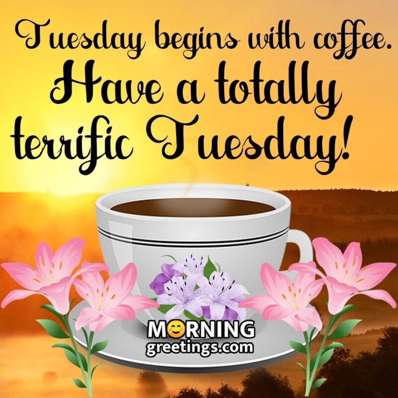 Have A Terrific Tuesday!