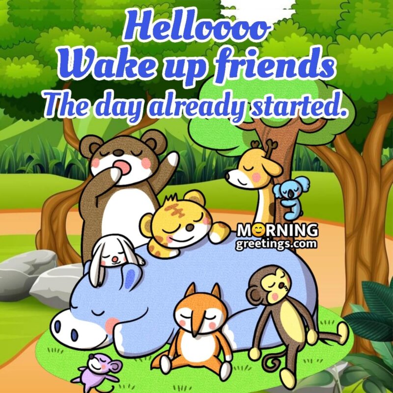 Hello Wake Up Friends